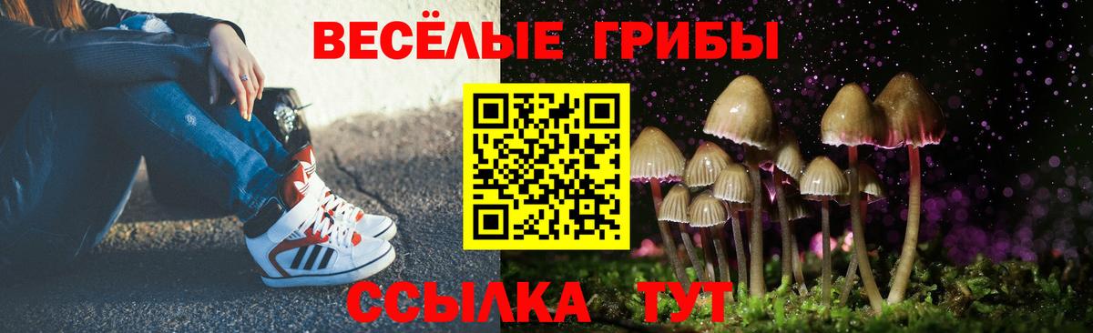 Галлюциногенные грибы Cubensis  Галлюциногенные грибы GOLDEN TEACHER  Вход с VPN  Ейск 